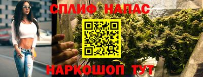 apvp Кандалакша