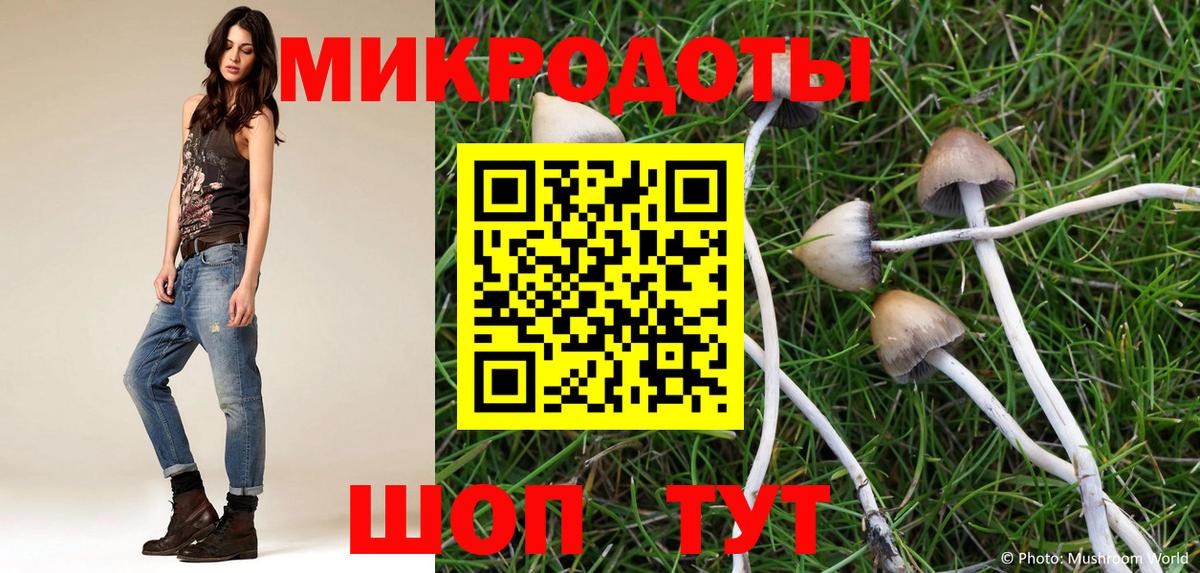 Псилоцибиновые грибы Cubensis Лыткарино