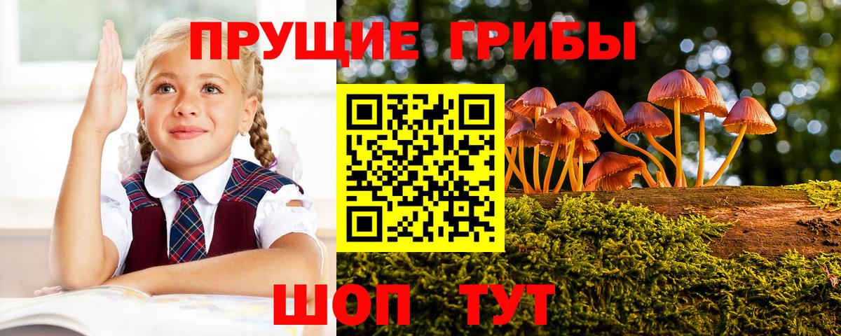 Псилоцибиновые грибы Psilocybe  Вход с VPN  Лыткарино 